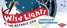 Wild Lights logo.jpg - 29866 Bytes